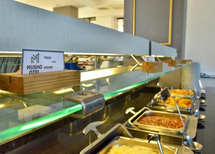 Отель Musho Sarimsakli